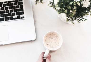 植物大战脑腐终极融合狂潮活动指南